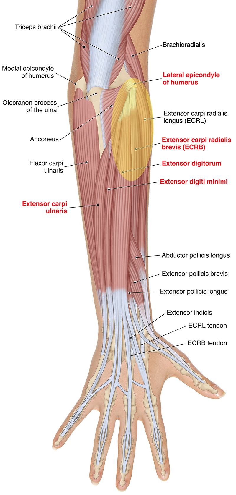JF20_Golfers2 JF20_Golfers2