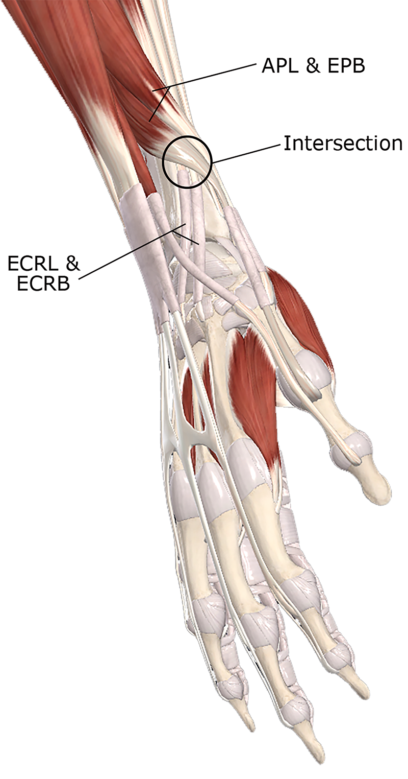 ClinicalExplorations3