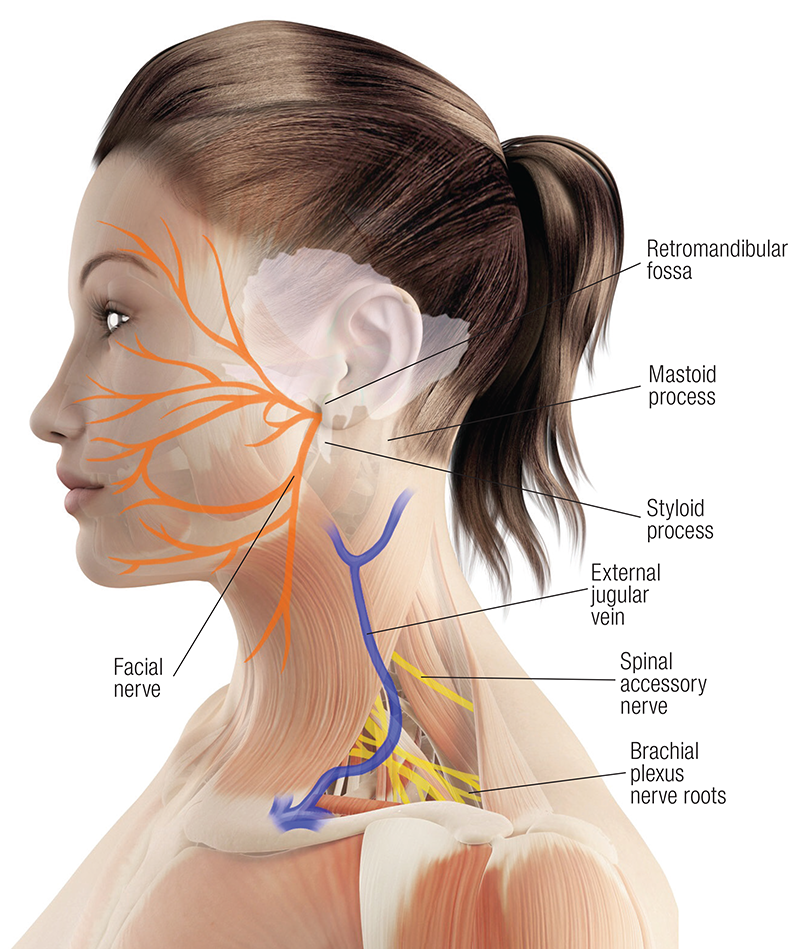 MJ20_Endangerment Sites2 MJ20_Endangerment Sites2