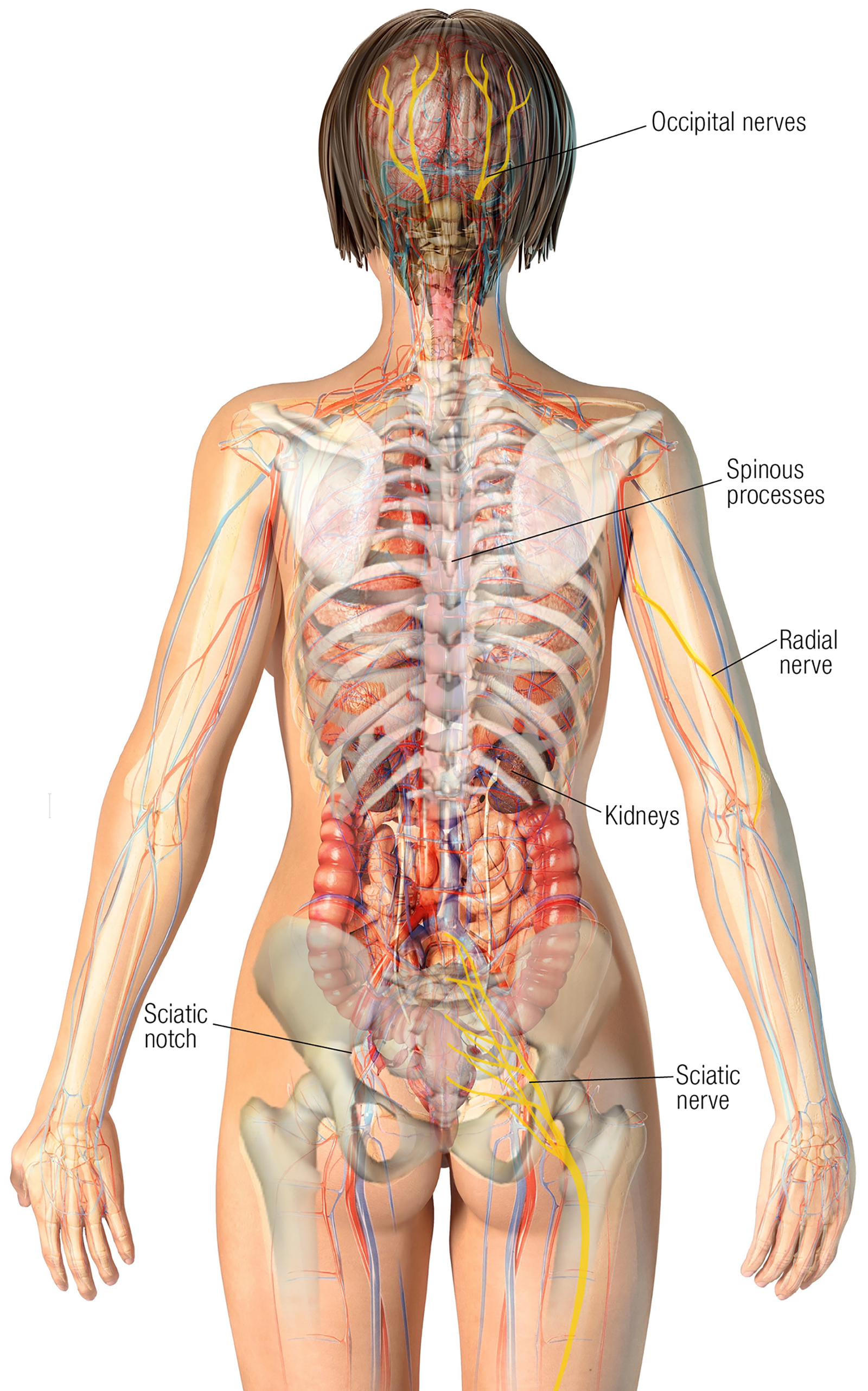 MJ20_Endangerment Sites6 MJ20_Endangerment Sites6