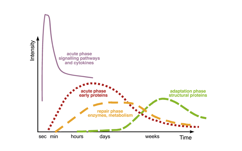 ND_18_Somatic Edge2 ND_18_Somatic Edge2