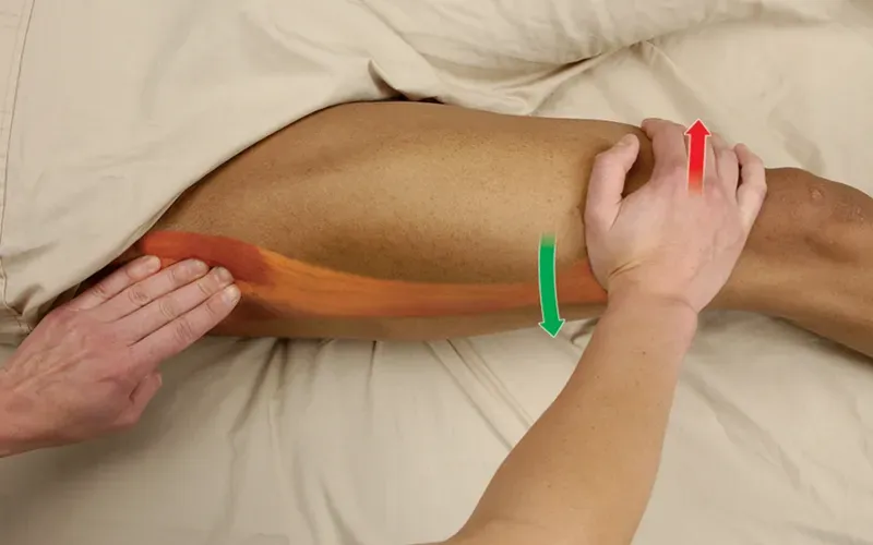 Palpating_Tensor_Fascia_Latae Palpating_Tensor_Fascia_Latae