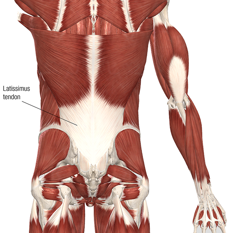 MA20_Clinical Explorations 1 MA20_Clinical Explorations 1
