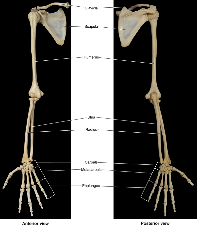 JF20_Golfers3 JF20_Golfers3