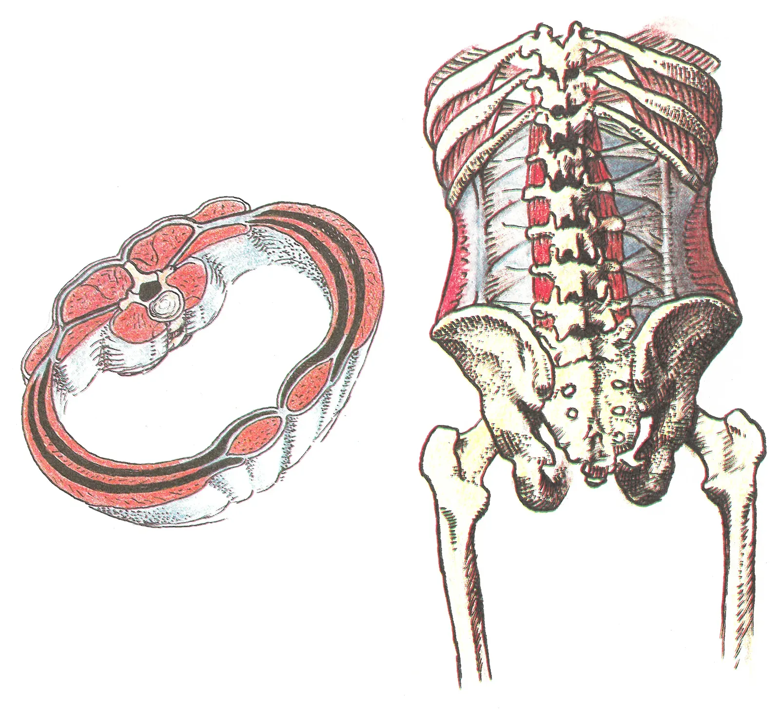 CobraCore2 CobraCore2