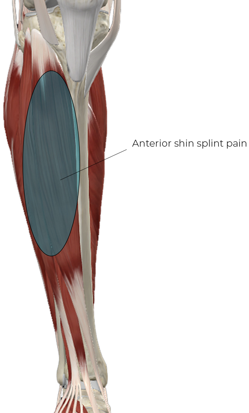 SP_26_ClinicalExplorations1_800 SP_26_ClinicalExplorations1_800