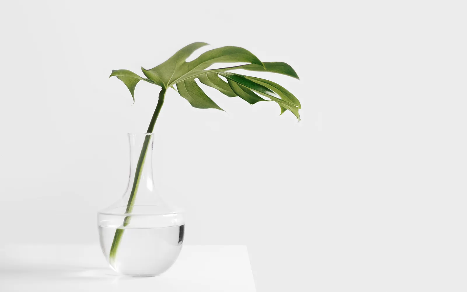 Set Wellness Goals Teaser Image Set Wellness Goals Teaser Image