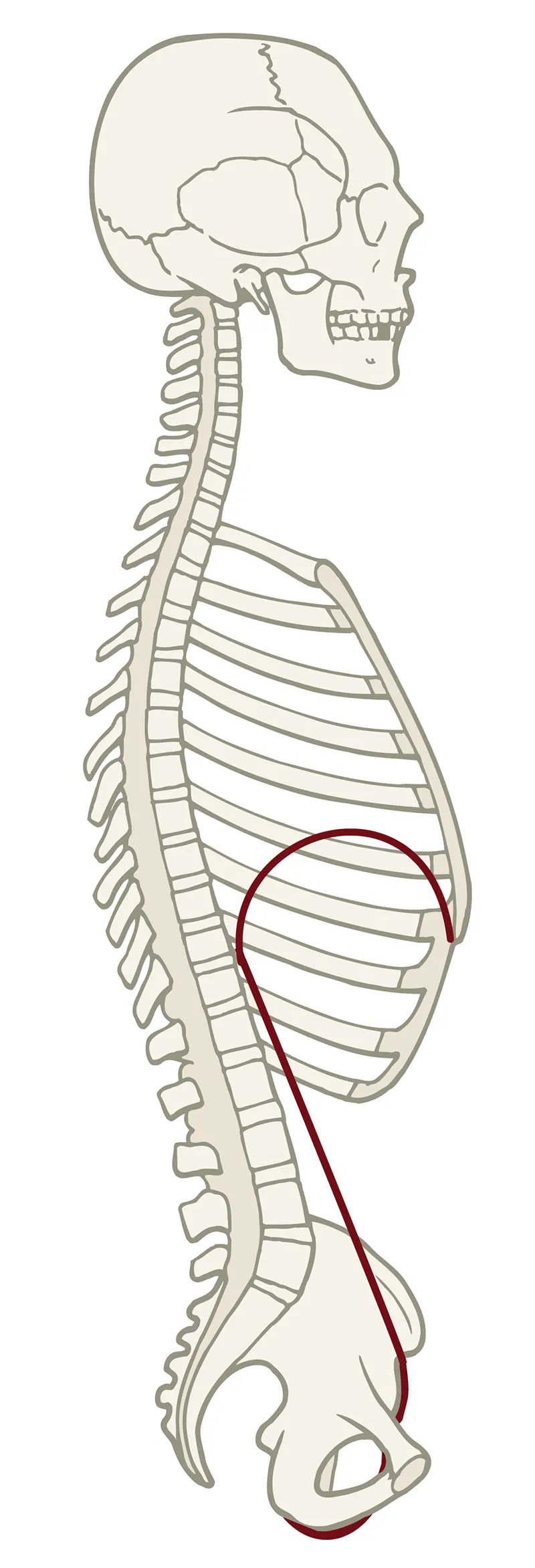 JF_19_CobraAtCore3A_800 JF_19_CobraAtCore3A_800