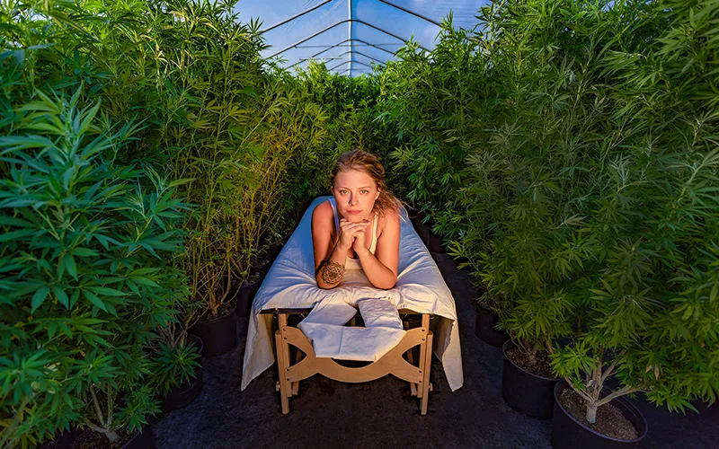 SO19_CBD and Massage2 SO19_CBD and Massage2