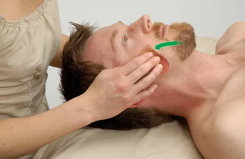 SO20_Masseter2 SO20_Masseter2