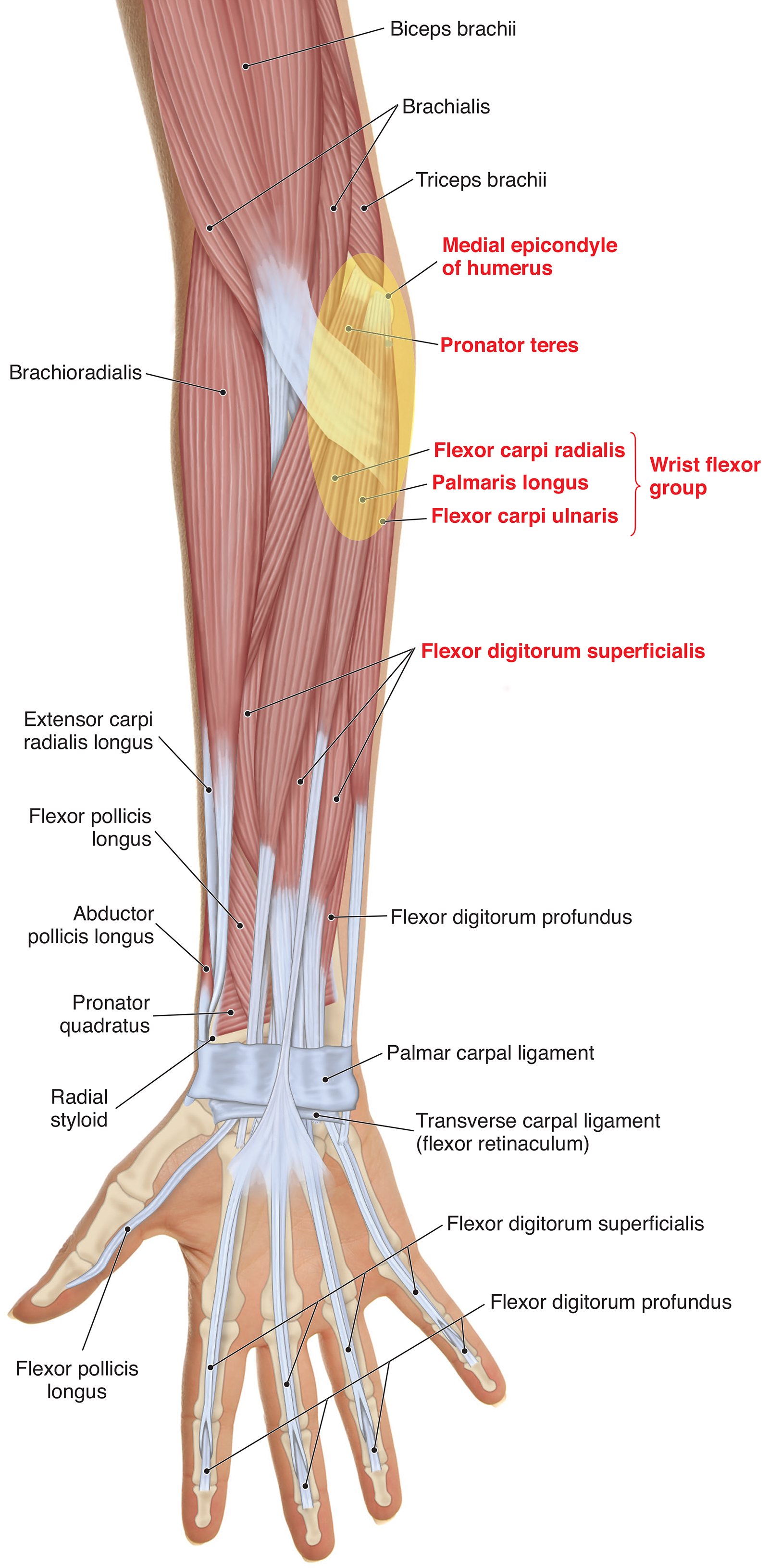 JF20_Golfers1 JF20_Golfers1