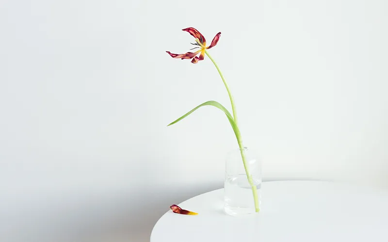 JA_19_LymphDrainageCancerPatients_Stocksy_comp_2199407_800 JA_19_LymphDrainageCancerPatients_Stocksy_comp_2199407_800