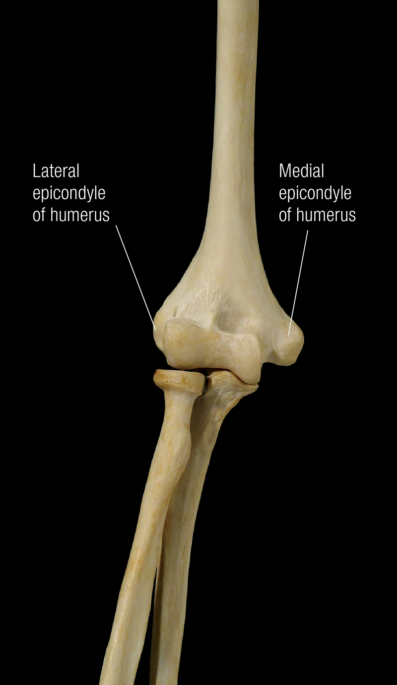 JF20_Golfers6 JF20_Golfers6