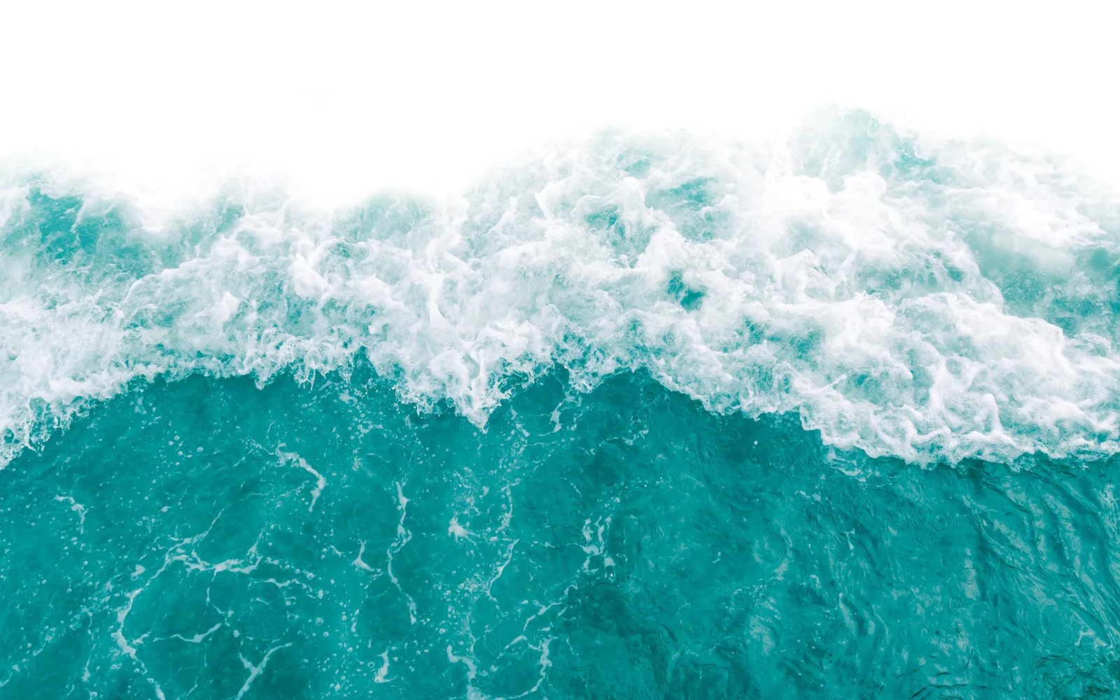 Hydrotherapy in Your Practice Teaser Image Hydrotherapy in Your Practice Teaser Image