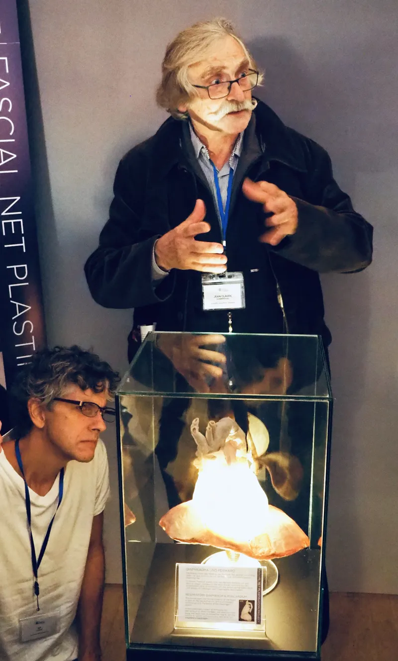 Fascia Research Congress3 Fascia Research Congress3