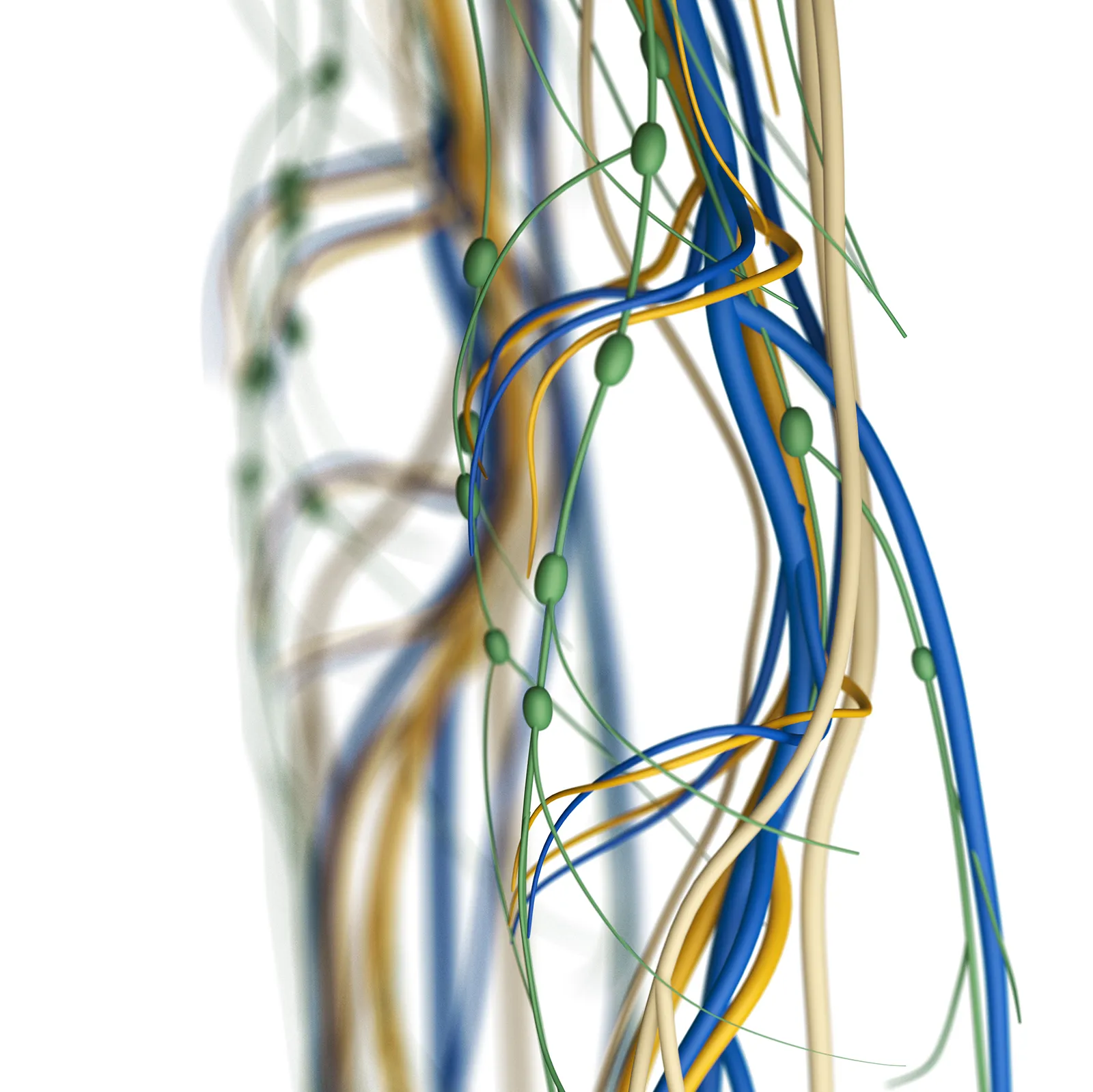 JA_19_LymphDrainageCancerPatients_iStock-579437846_1600 JA_19_LymphDrainageCancerPatients_iStock-579437846_1600