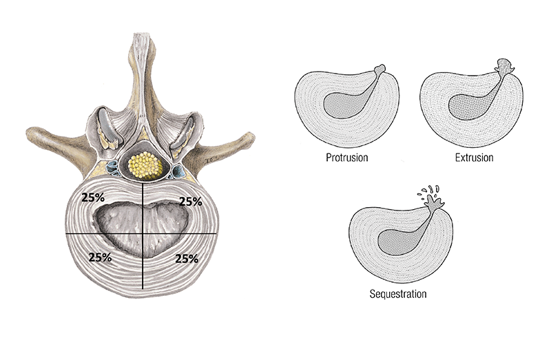MJ_19_ClinicalExplorations5_800