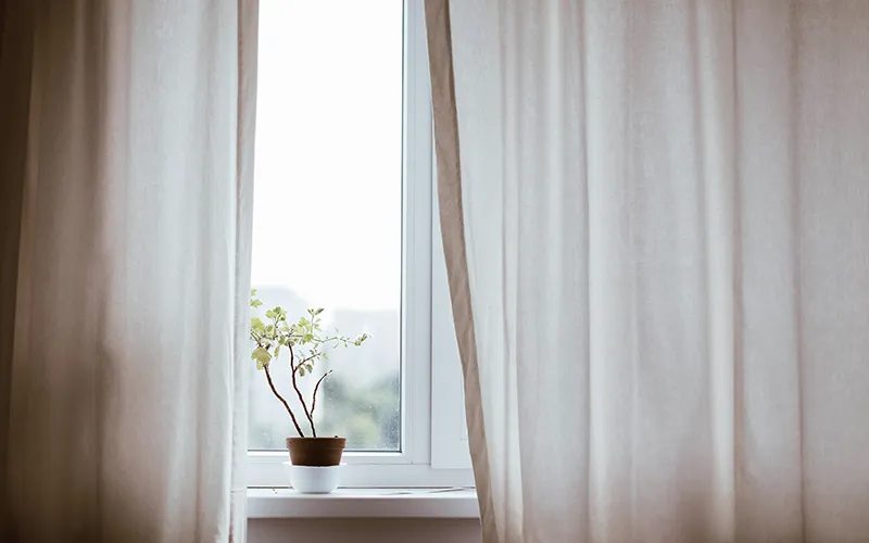 ND20_The Palmer Study4