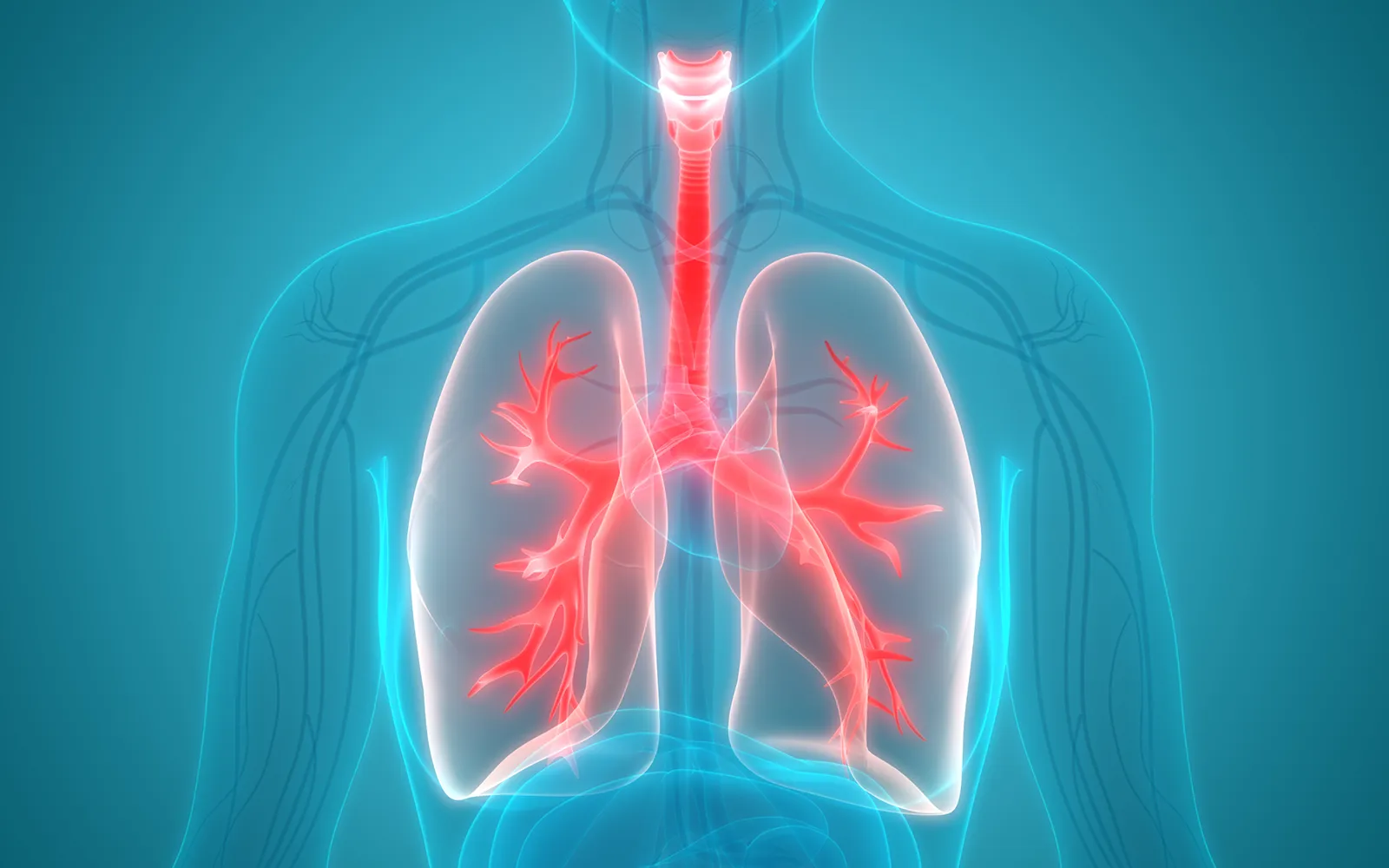 Massage for Young People with Cystic Fibrosis Teaser Image