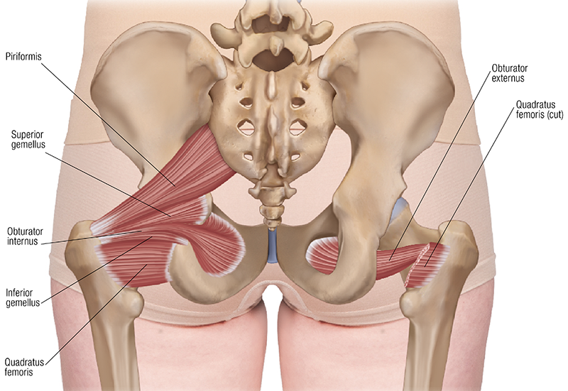 SO19_Stretching the Piriformis1 SO19_Stretching the Piriformis1