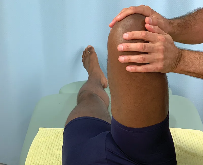 SO19_Piriformis 12A SO19_Piriformis 12A