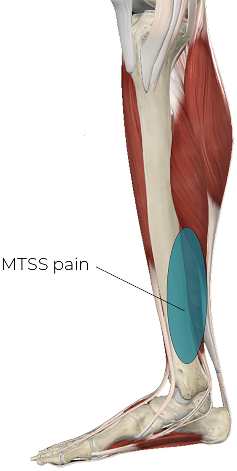 SP_26_ClinicalExplorations2_800 SP_26_ClinicalExplorations2_800