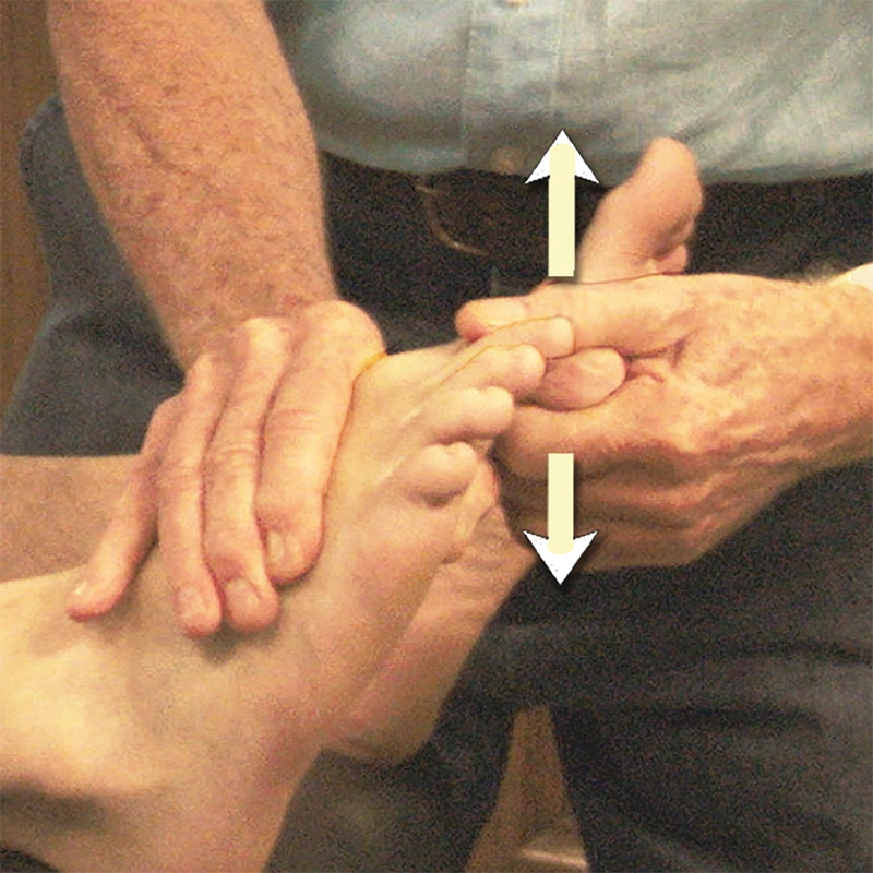 JF20_Myoskeletal5 JF20_Myoskeletal5