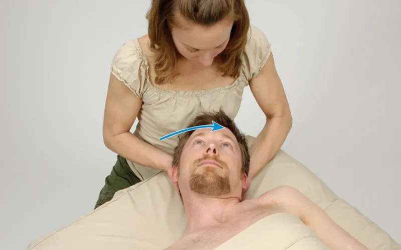 MJ20_Splenius_Passive