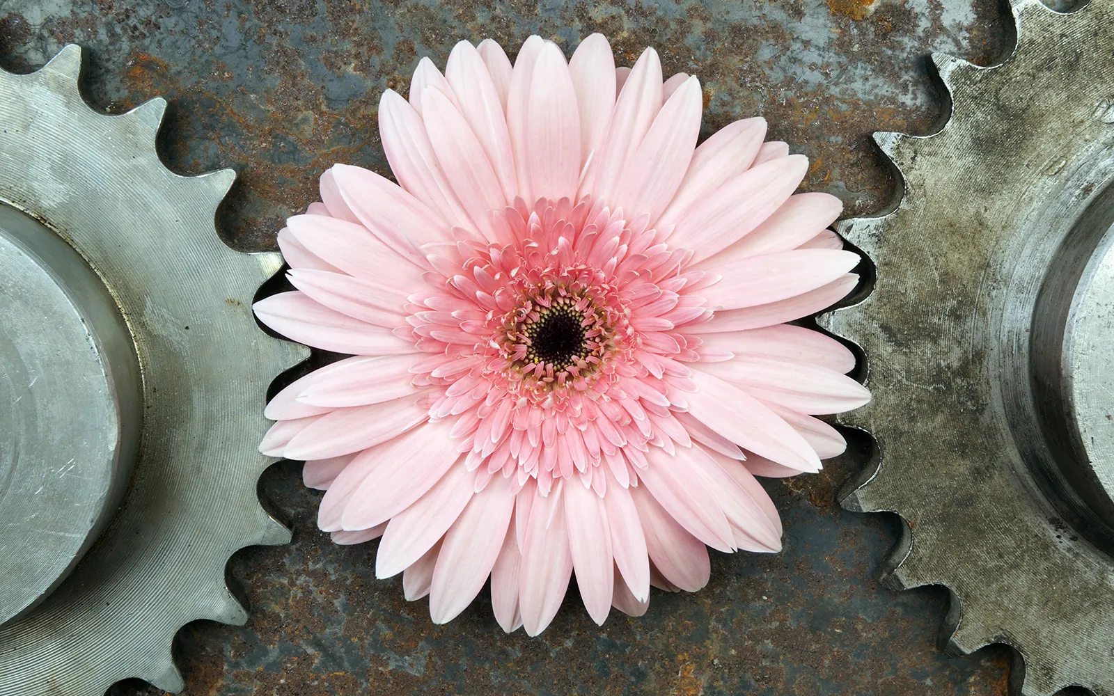 ND19_The Energetics of Attraction ND19_The Energetics of Attraction