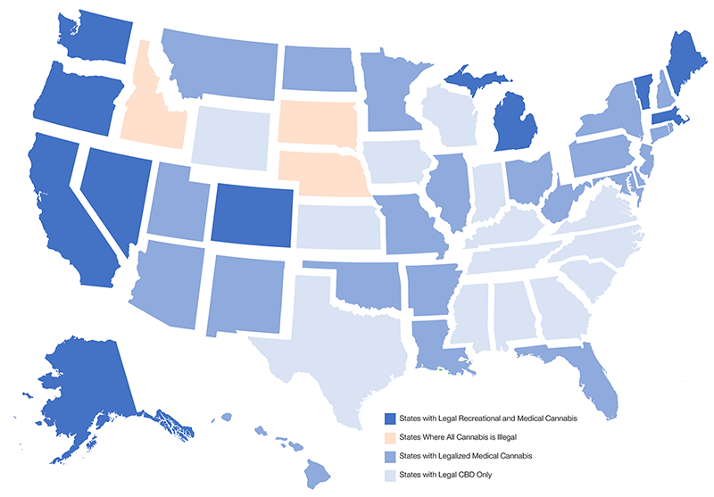 SO19_CBD and Massage_Graph SO19_CBD and Massage_Graph