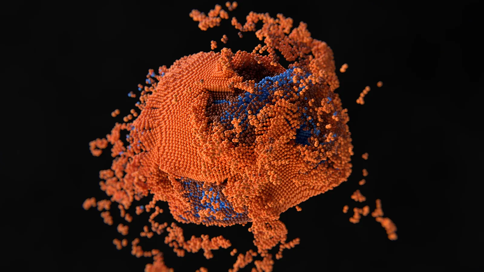 Understanding COVID-19's Cytokine Storm Teaser Image Understanding COVID-19's Cytokine Storm Teaser Image