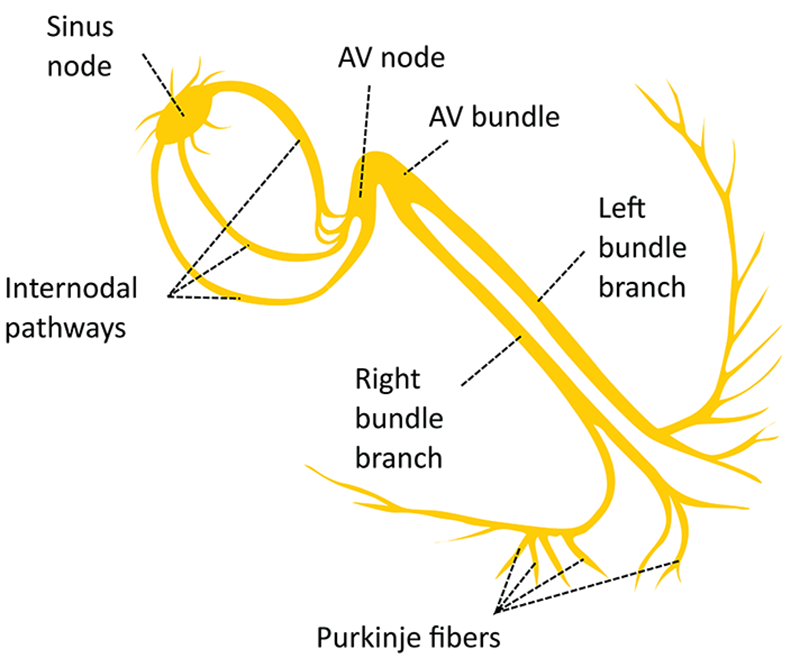 ND20_Skipping a Beat3 ND20_Skipping a Beat3