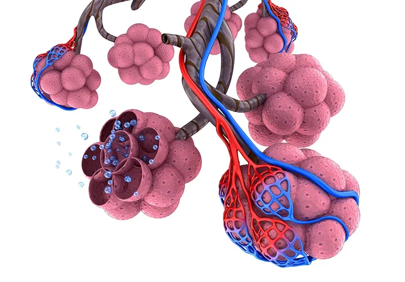 MJ20_Somatic Edge2 MJ20_Somatic Edge2