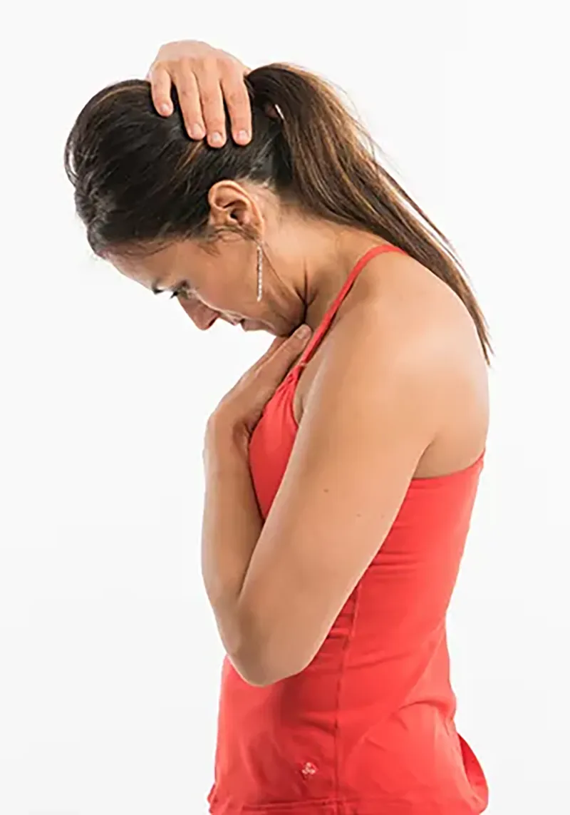 TLC for MTs: The Neck Flexion2