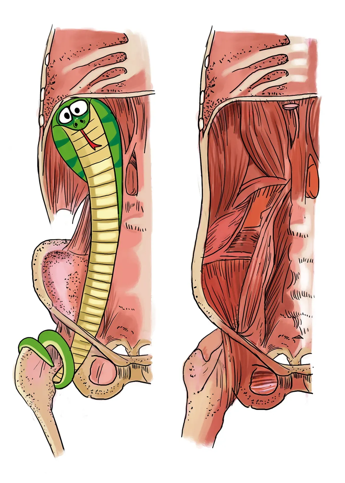 CobraCore1 CobraCore1