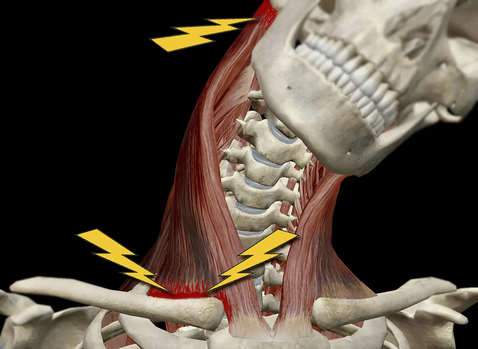 Enhancers in Action Teaser Image Enhancers in Action Teaser Image