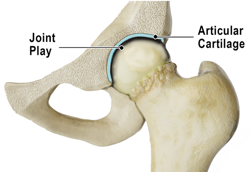 JA20_Bones as Levers1 JA20_Bones as Levers1