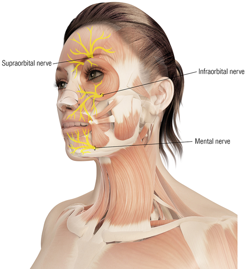 MJ20_Endangerment Sites1 MJ20_Endangerment Sites1
